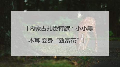内蒙古扎赉特旗：小小黑木耳 变身“致富花”