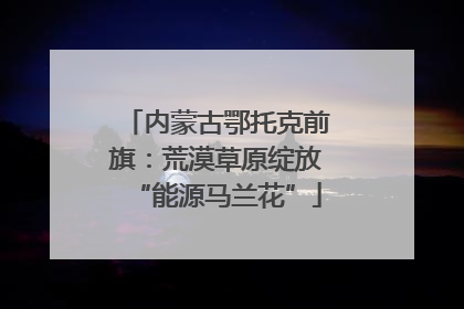 内蒙古鄂托克前旗：荒漠草原绽放“能源马兰花”