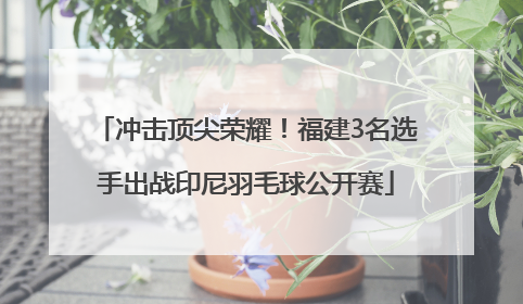 冲击顶尖荣耀！福建3名选手出战印尼羽毛球公开赛