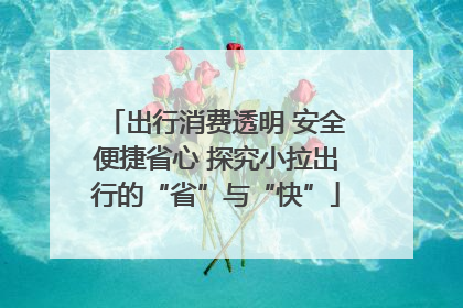 出行消费透明 安全便捷省心 探究小拉出行的“省”与“快”