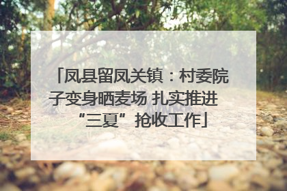 凤县留凤关镇：村委院子变身晒麦场 扎实推进“三夏”抢收工作