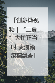 创意微视频｜“三夏”大忙正当时 麦浪滚滚穗飘香
