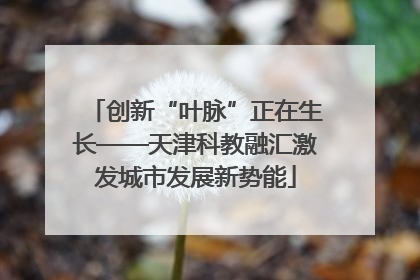 创新“叶脉”正在生长——天津科教融汇激发城市发展新势能
