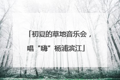 初夏的草地音乐会，唱“嗨”杨浦滨江