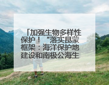 加强生物多样性保护！“落实昆蒙框架：海洋保护地建设和南极公海生态保护”主题论坛将举办
