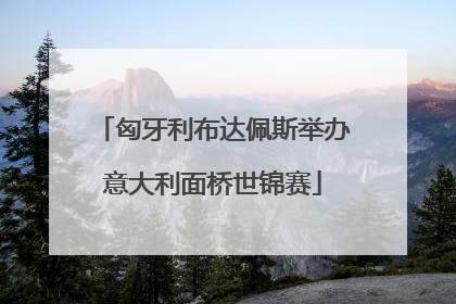 匈牙利布达佩斯举办意大利面桥世锦赛