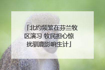 北约频繁在芬兰牧区演习 牧民担心惊扰驯鹿影响生计