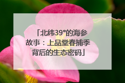 北纬39°的海参故事：上品堂春捕季背后的生态密码