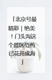 北京号最精彩｜绝美！门头沟这个景区芍药已花开成海