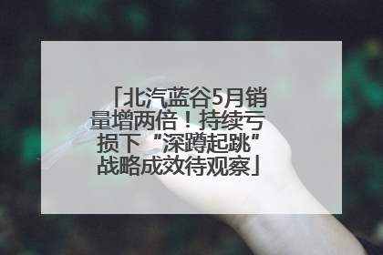 北汽蓝谷5月销量增两倍！持续亏损下“深蹲起跳”战略成效待观察