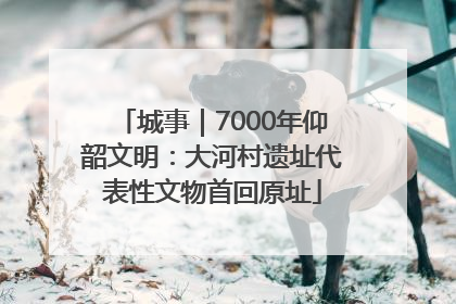 城事｜7000年仰韶文明：大河村遗址代表性文物首回原址