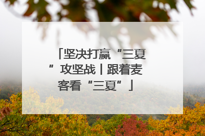 坚决打赢“三夏”攻坚战丨跟着麦客看“三夏”