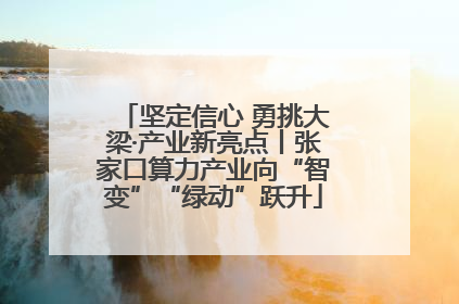 坚定信心 勇挑大梁·产业新亮点丨张家口算力产业向“智变”“绿动”跃升