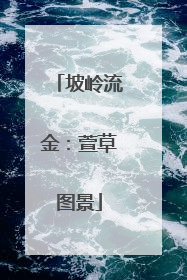 坡岭流金：萱草图景