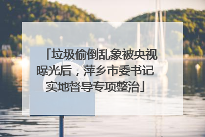垃圾偷倒乱象被央视曝光后，萍乡市委书记实地督导专项整治