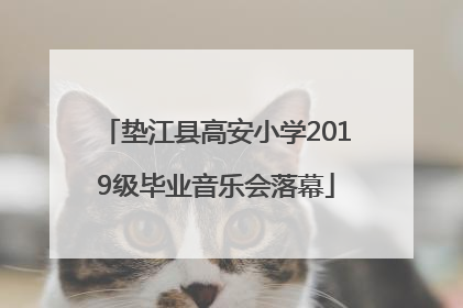 垫江县高安小学2019级毕业音乐会落幕