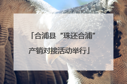 合浦县“珠还合浦”产销对接活动举行