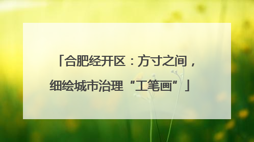 合肥经开区：方寸之间，细绘城市治理“工笔画”