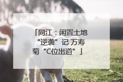 同江：闲置土地“逆袭”记 万寿菊“C位出道”