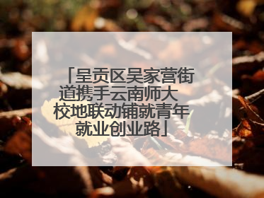 呈贡区吴家营街道携手云南师大 校地联动铺就青年就业创业路