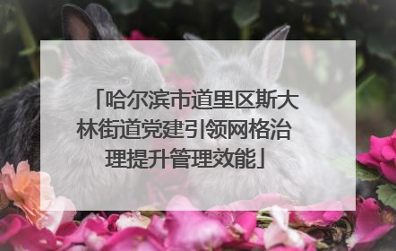 哈尔滨市道里区斯大林街道党建引领网格治理提升管理效能