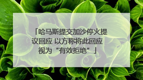 哈马斯提交加沙停火提议回应 以方称将此回应视为“有效拒绝”