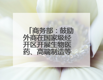 商务部：鼓励外商在国家级经开区开展生物医药、高端制造等领域投资