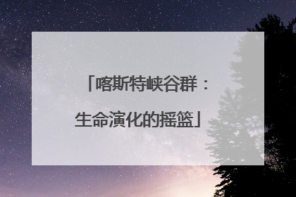 喀斯特峡谷群：生命演化的摇篮