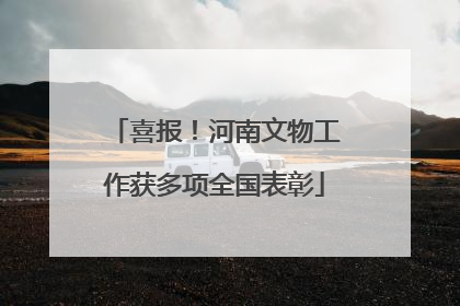 喜报！河南文物工作获多项全国表彰