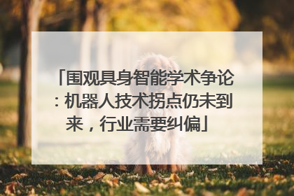 围观具身智能学术争论：机器人技术拐点仍未到来，行业需要纠偏