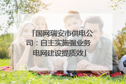 国网瑞安市供电公司：自主实施强业务 电网建设提质效