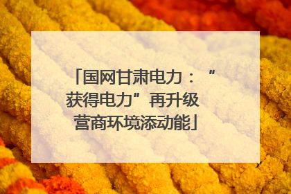 国网甘肃电力：“获得电力”再升级 营商环境添动能