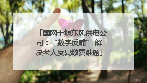 国网十堰东风供电公司：“数字反哺” 解决老人度夏缴费难题