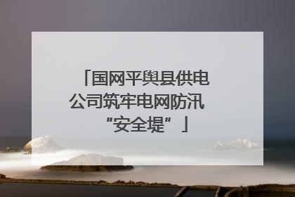 国网平舆县供电公司筑牢电网防汛“安全堤”