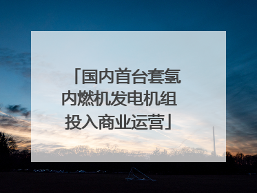 国内首台套氢内燃机发电机组投入商业运营