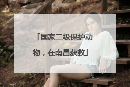 国家二级保护动物，在南昌获救