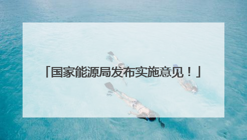 国家能源局发布实施意见！