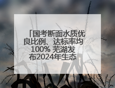 国考断面水质优良比例、达标率均100% 芜湖发布2024年生态环境状况