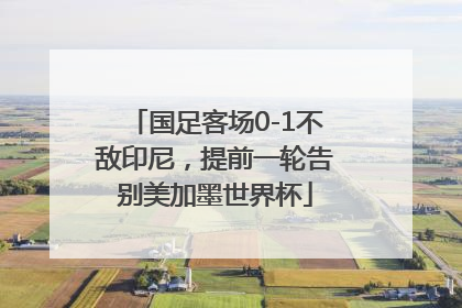国足客场0-1不敌印尼，提前一轮告别美加墨世界杯