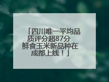 四川唯一平均品质评分超87分 鲜食玉米新品种在成都上线！
