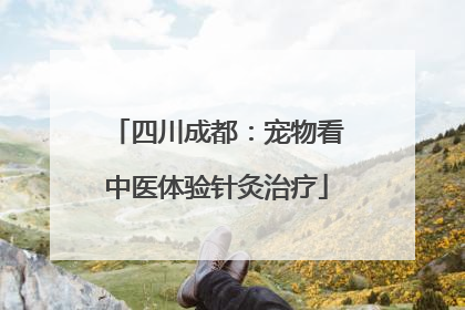 四川成都：宠物看中医体验针灸治疗