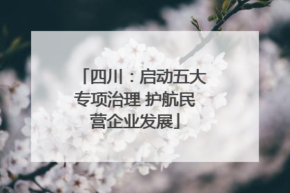 四川：启动五大专项治理 护航民营企业发展