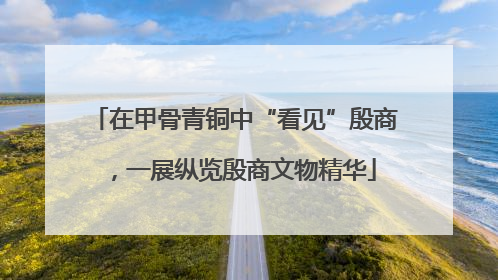 在甲骨青铜中“看见”殷商，一展纵览殷商文物精华
