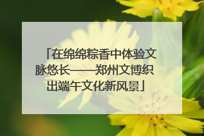 在绵绵粽香中体验文脉悠长——郑州文博织出端午文化新风景