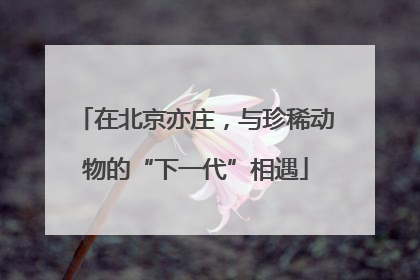 在北京亦庄，与珍稀动物的“下一代”相遇