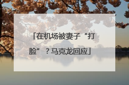 在机场被妻子“打脸”？马克龙回应