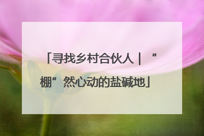 寻找乡村合伙人｜“棚”然心动的盐碱地