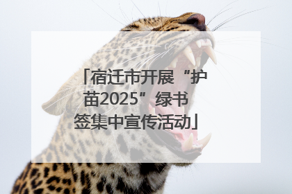 宿迁市开展“护苗2025”绿书签集中宣传活动