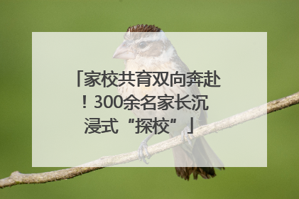家校共育双向奔赴！300余名家长沉浸式“探校”