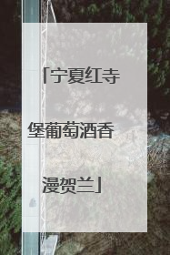 宁夏红寺堡葡萄酒香漫贺兰